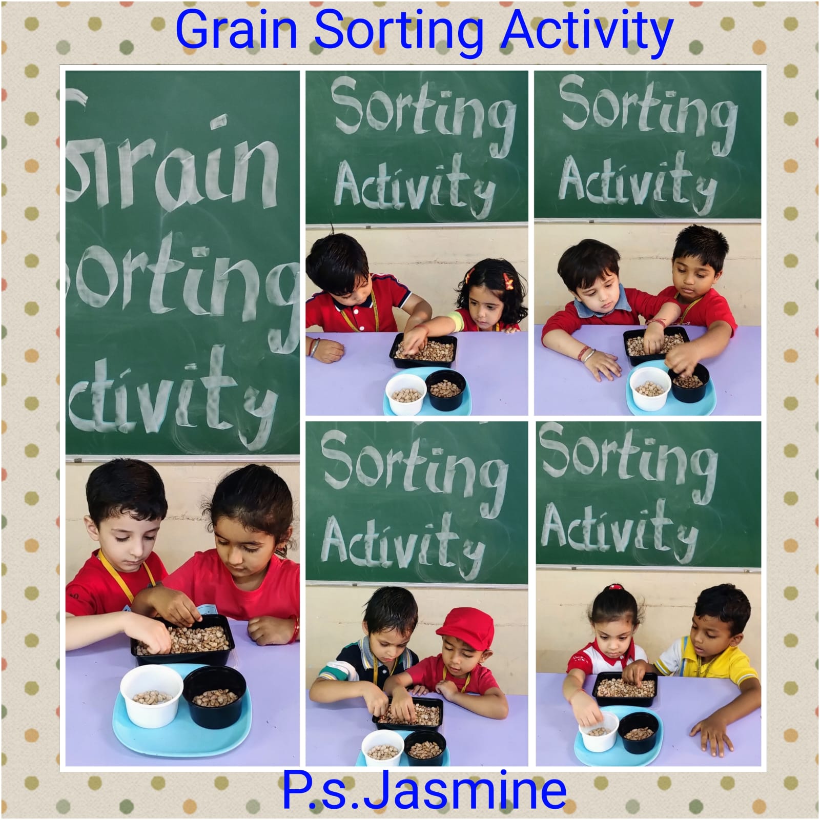 Grain Sorting activity